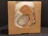 Greifling Holz Schaaf 100% BIO von Senger Naturwelt